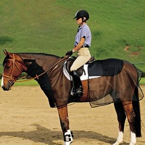 Cashel Quiet Ride Bug Armor Equestrian Mesh Fly Sheet - Black NWT One Size